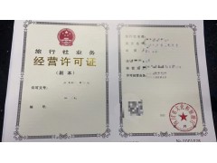 成都市武侯区申请设立旅行社技术报告书怎么填写图1