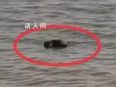 深圳警方通报发现浮尸:排除刑案（图）