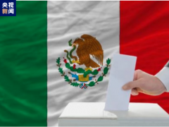 墨西哥大选开始投票 或将选出首位女总统！！（图）