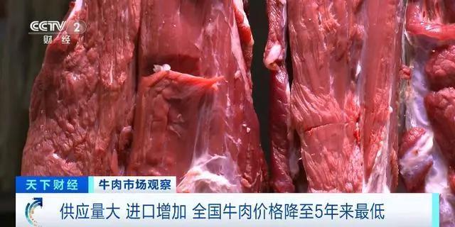 牛肉价格跌至近五年来最低水平 养殖亏本求纾困