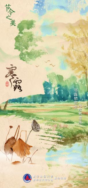 寒露遇上重阳节 赏菊登高觅秋色