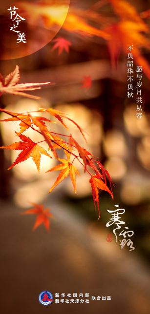 寒露遇上重阳节 赏菊登高觅秋色