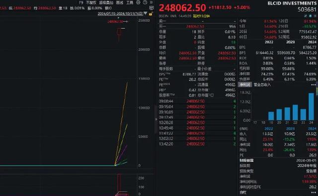 印度一小盘股一天暴涨6692535%