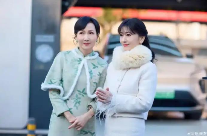 71岁赵雅芝66岁陈美琪同框