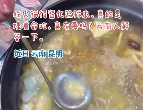 游客到云南吃菌子火锅被规则惊到