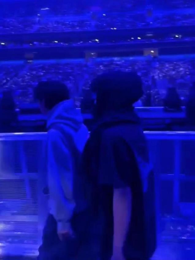 谢霆锋儿子现身演唱会 兄弟俩帅气支持父親