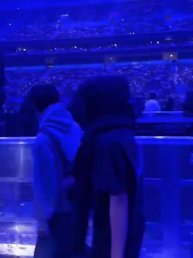 谢霆锋儿子现身演唱会 兄弟俩帅气支持父親