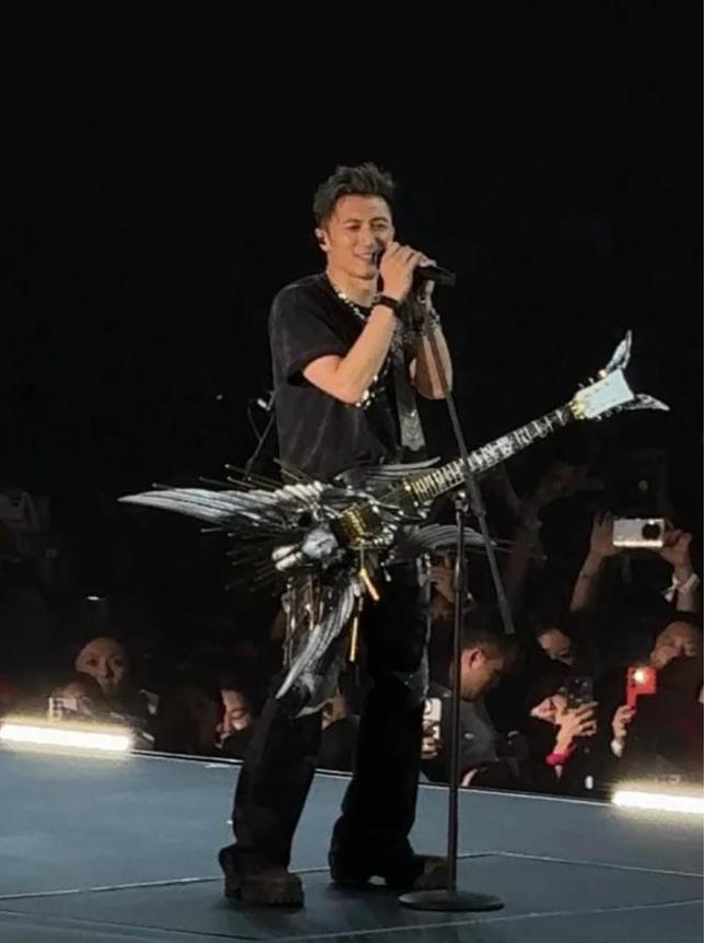 谢霆锋儿子现身演唱会