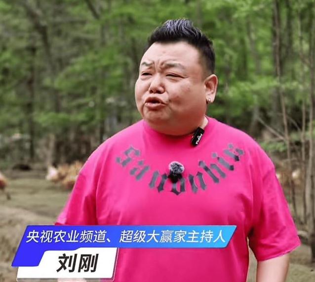 前央视主持人被曝转行养鸡