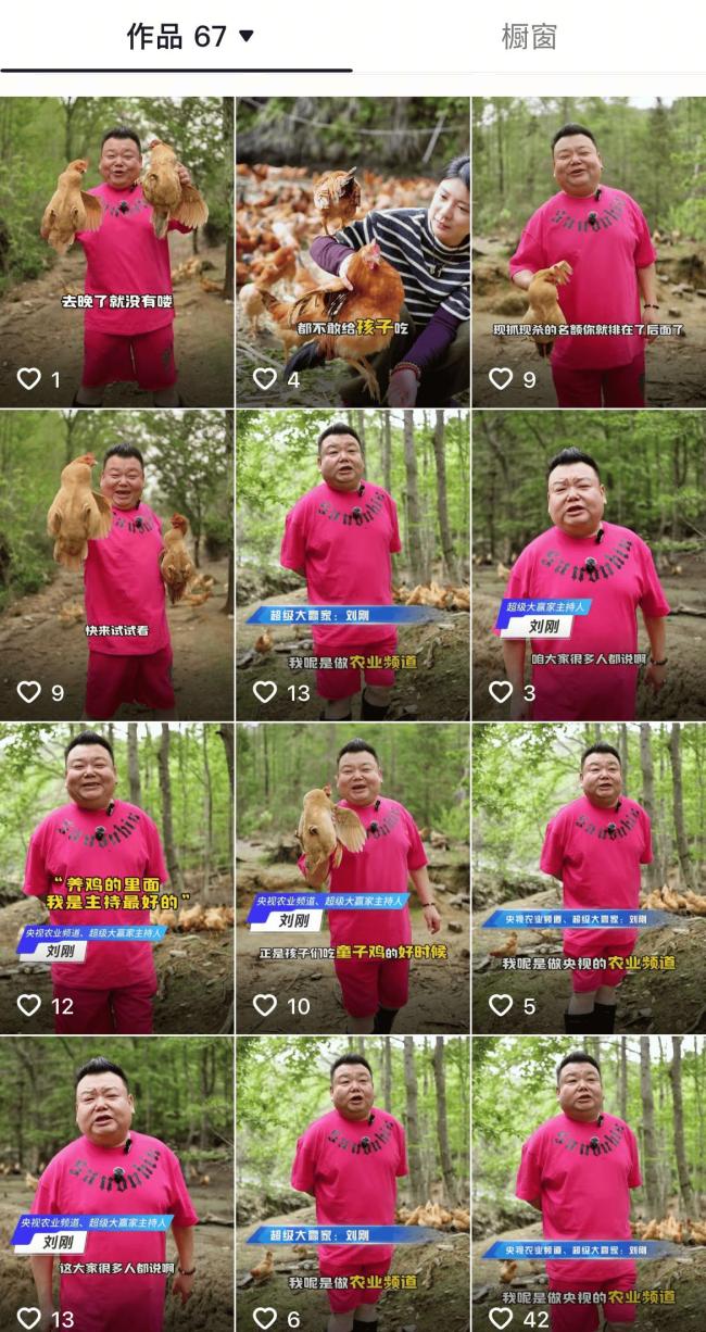 前央视主持人被曝转行养鸡