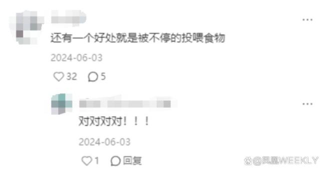 最先混进老年徒步团的已经进骨科了 年轻人被大爷大妈实力碾压