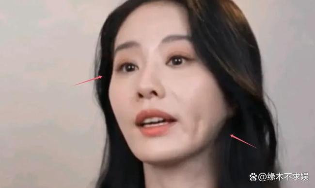 吴奇隆刘诗诗再被曝离婚 婚变传闻再起波澜