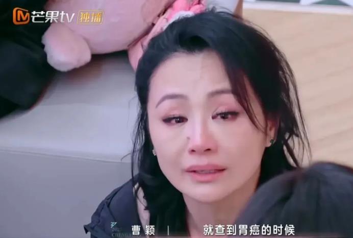 曹颖14岁儿子被赞“最帅星二代”